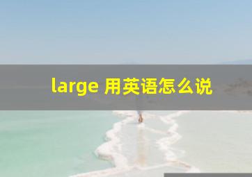 large 用英语怎么说